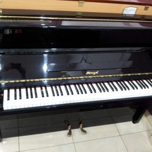 Piano Horugel