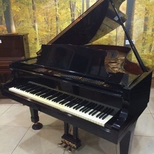 Steinway Piano B