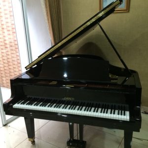 Grand Piano Everett