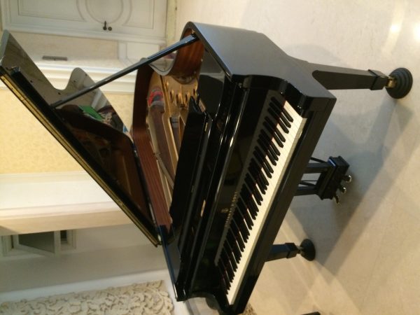 Piano Steinway tipe B - Immaculate